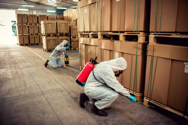 Best Affordable Pest Control Services  in Dousman, WI