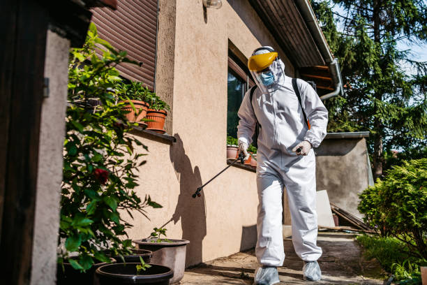 Best Residential Pest Control  in Dousman, WI
