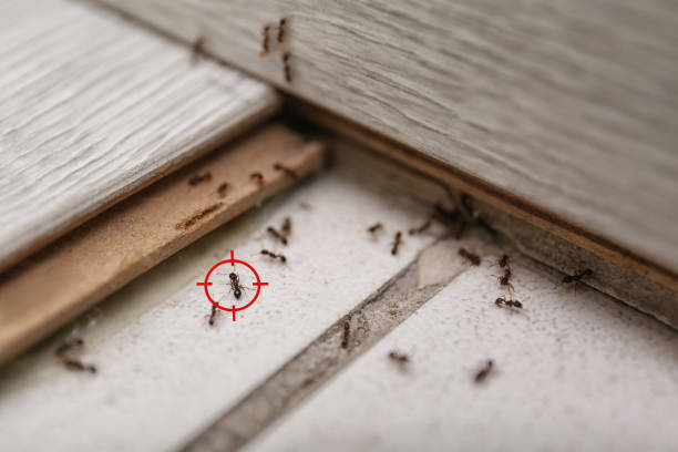 Pest Control Cost in Dousman, WI