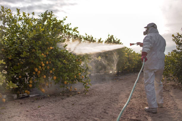 Best Exterminator Services  in Dousman, WI