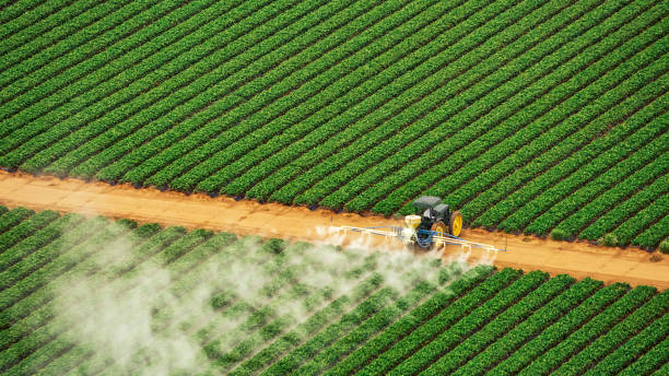 Best Mosquito Control Services  in Dousman, WI
