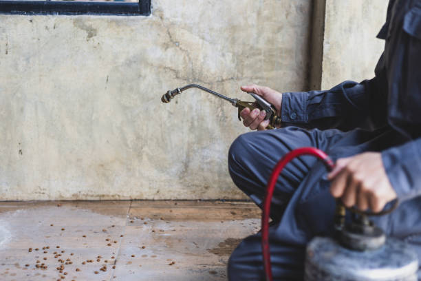 Best Pest Removal Services  in Dousman, WI