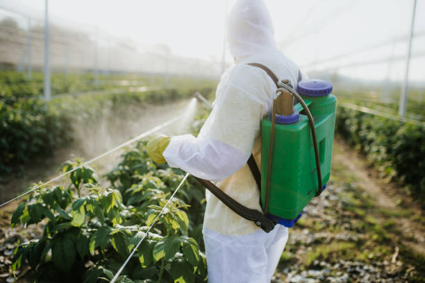 Best Bed Bug Extermination  in Dousman, WI